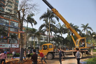 园林行业工程机械租赁的那些坑