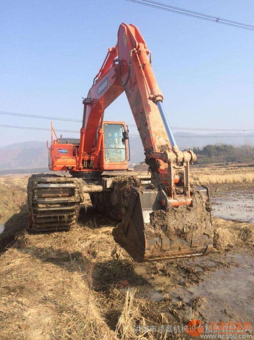 湖北210美国卡特水陆挖机租赁助力江南滩涂开发治理