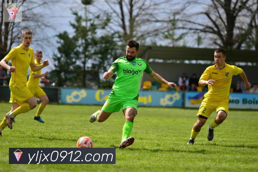 博亚app官网平台生态图